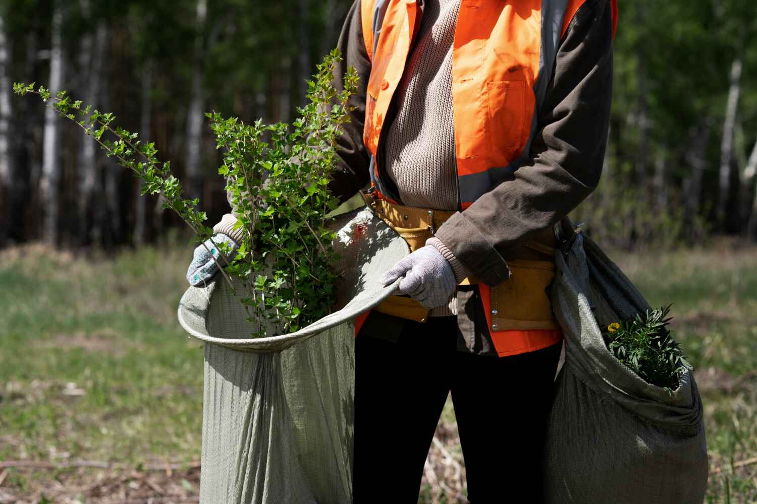 Best Affordable Tree Cutting  in Langston, OK